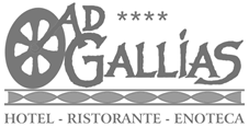 Hotel Ad Gallias